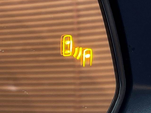 ランドクルーザーFJVX 内装他