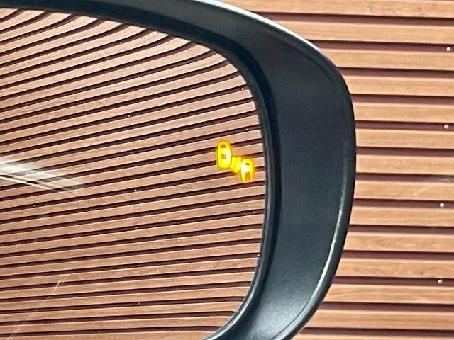 ライズ◆Z 内装他