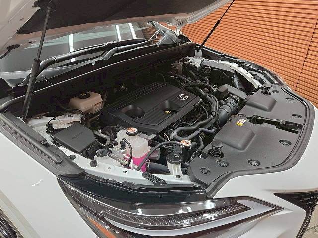 レクサス NXの画像14