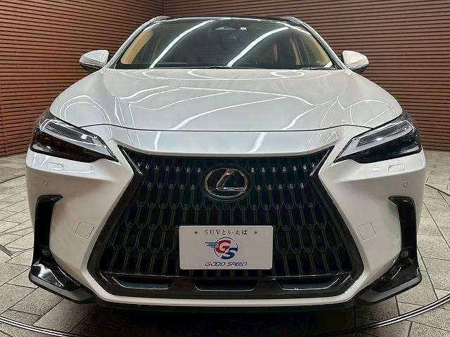 レクサス&nbsp;NXの画像17