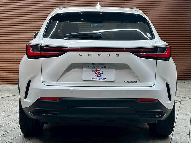 レクサス&nbsp;NXの画像19