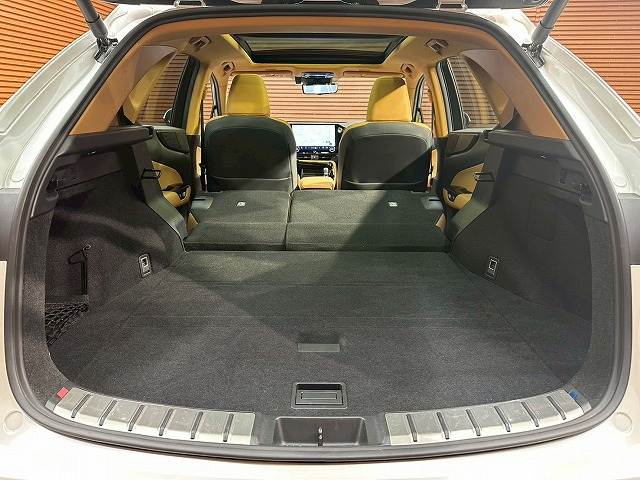 レクサス&nbsp;NXの画像20