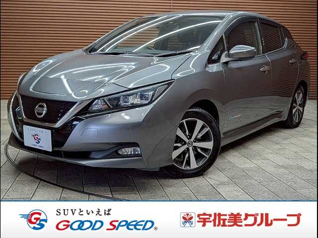 日産&nbsp;リーフの画像1