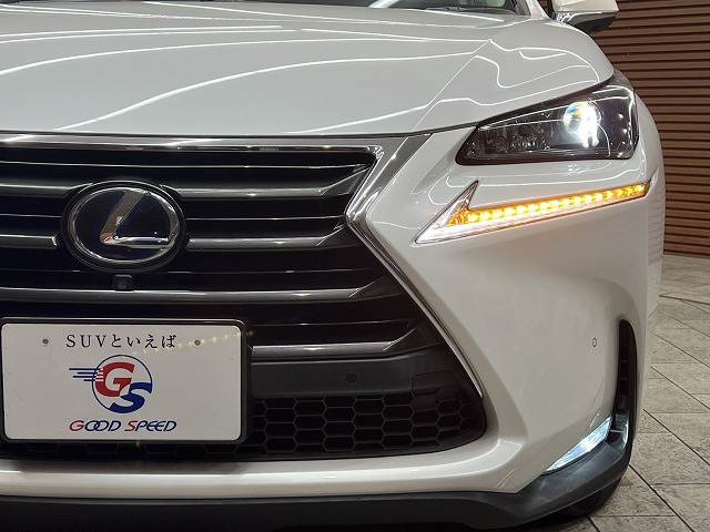 レクサス&nbsp;NXの画像10