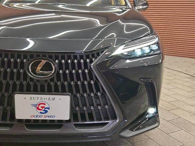 レクサス&nbsp;NXの画像10