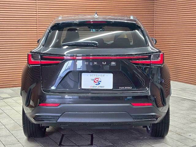 レクサス&nbsp;NXの画像19