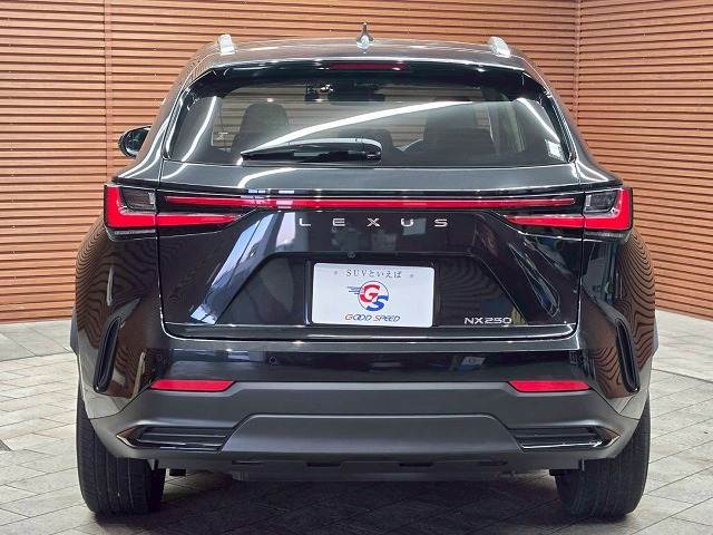 レクサス NXの画像19