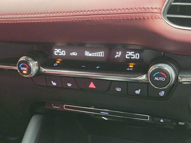 マツダ&nbsp;MAZDA3 FASTBACKの画像12