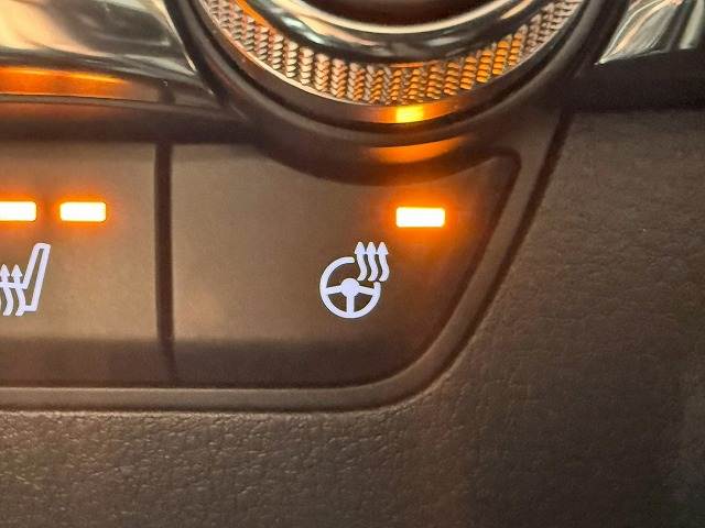 マツダ&nbsp;MAZDA3 FASTBACKの画像15