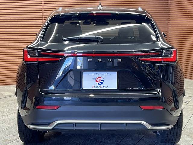 レクサス&nbsp;NXの画像19