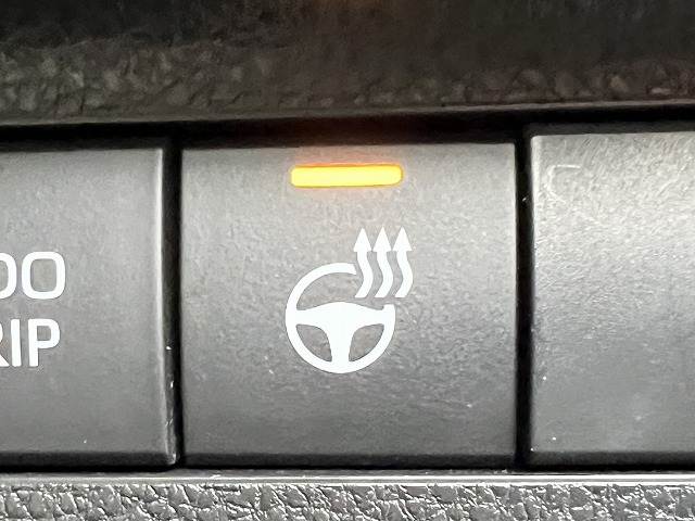 トヨタ&nbsp;RAV4の画像16