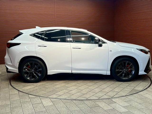 レクサス&nbsp;NXの画像18