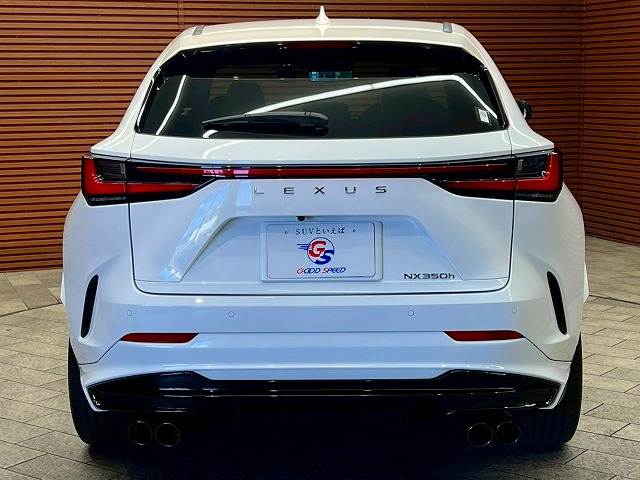 レクサス&nbsp;NXの画像19