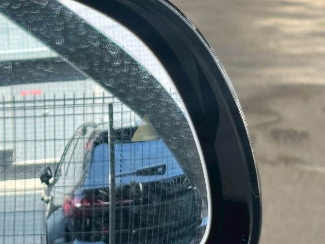 BMW X4の画像10