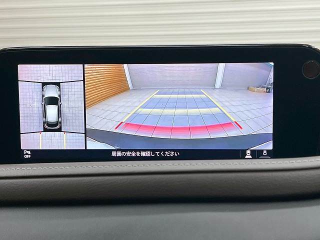 CX-3020S L Package 内装他