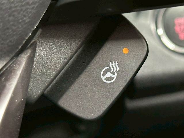 スバル レガシィアウトバックの画像11