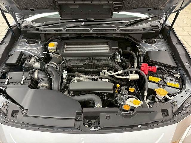 スバル レヴォーグ レイバックの画像14