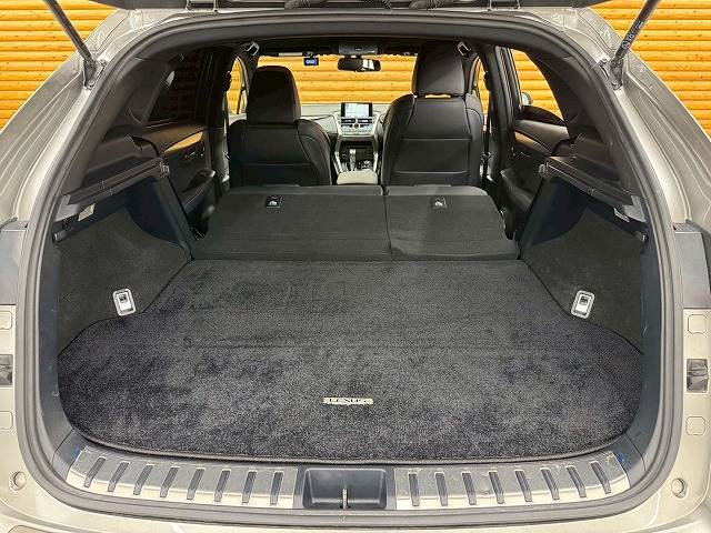 レクサス NXの画像20