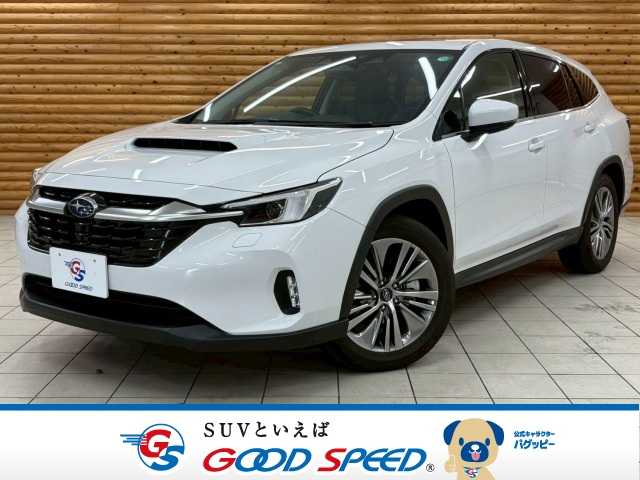 スバルレヴォーグ レイバックLimited EX