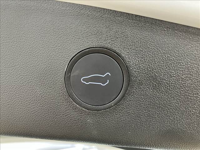 Model 3RWD 内装他