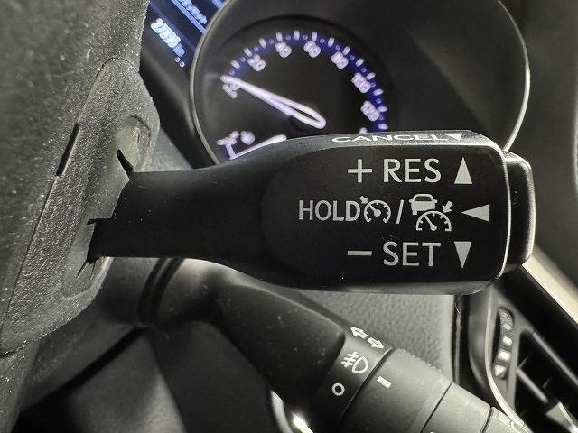 C-HRG “Mode-Nero Safety Plus” 内装他