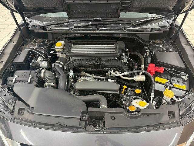 スバル レヴォーグ レイバックの画像14