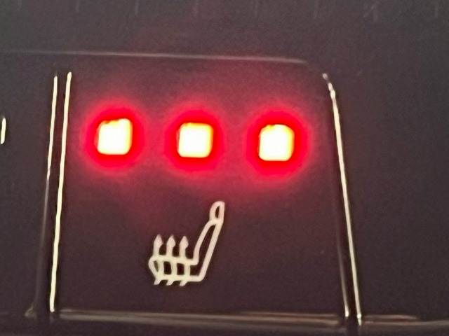 トヨタ ランドクルーザー250の画像7