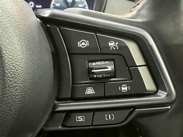 スバル レヴォーグ レイバックの画像6