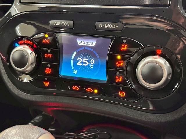 日産 ジュークの画像12