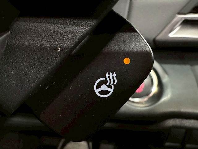 スバル&nbsp;レガシィアウトバックの画像16