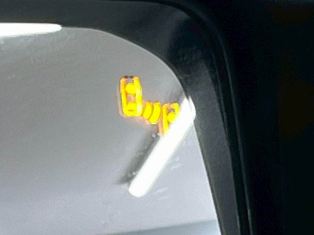 トヨタ&nbsp;ランドクルーザー250の画像8