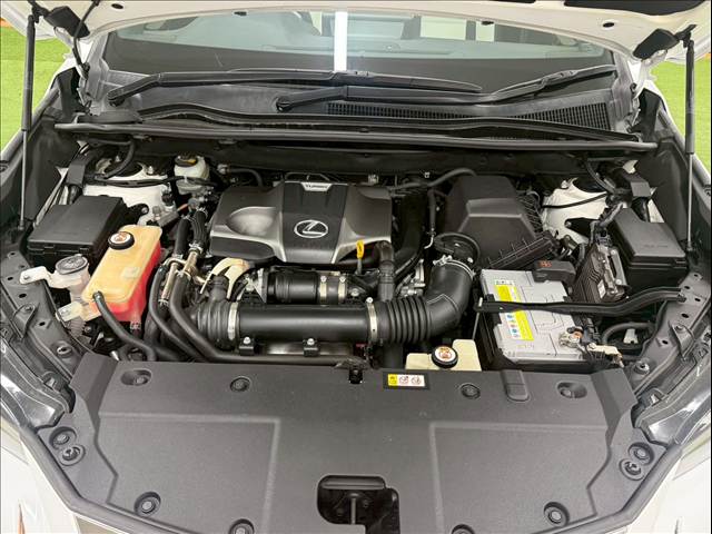 レクサス&nbsp;NXの画像15