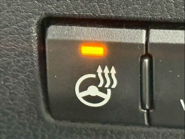 レクサス&nbsp;NXの画像16