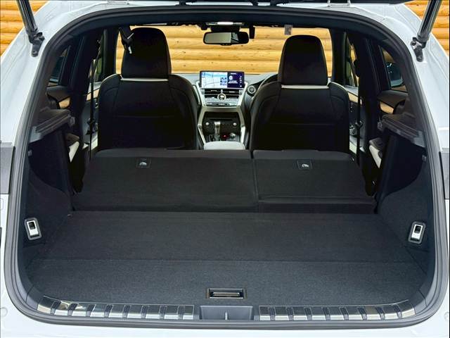 レクサス&nbsp;NXの画像20