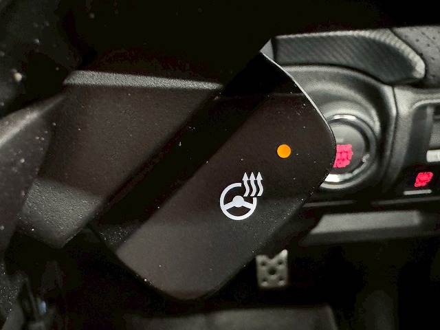 スバル&nbsp;フォレスターの画像16