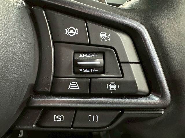 スバル レヴォーグ レイバックの画像12