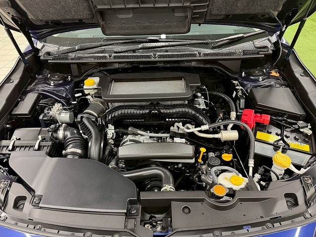 スバル レヴォーグ レイバックの画像15