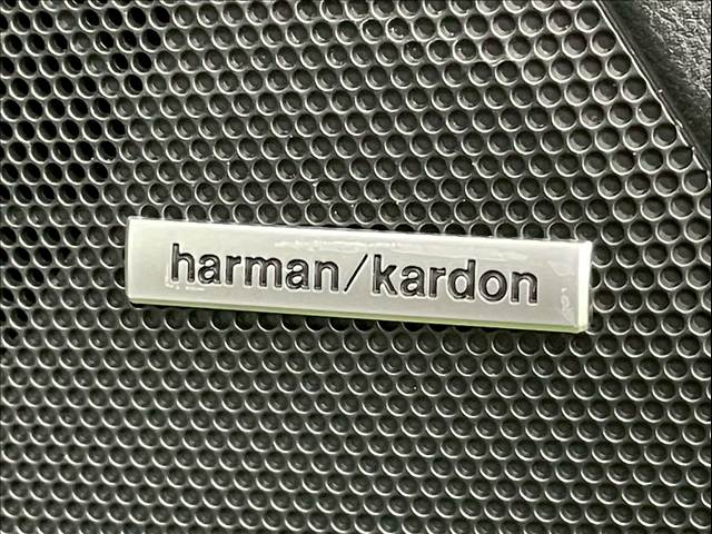 スバル&nbsp;レヴォーグ レイバックの画像6