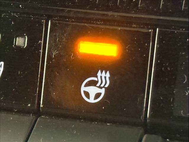 トヨタ&nbsp;ランドクルーザー250の画像14