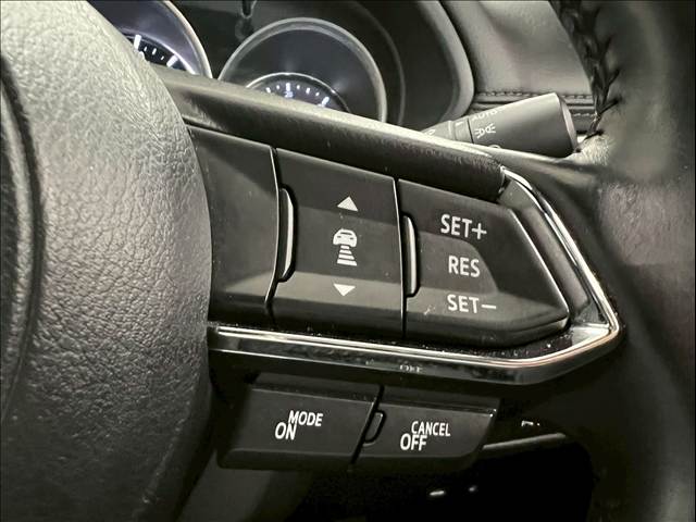 マツダ&nbsp;CX-8の画像9