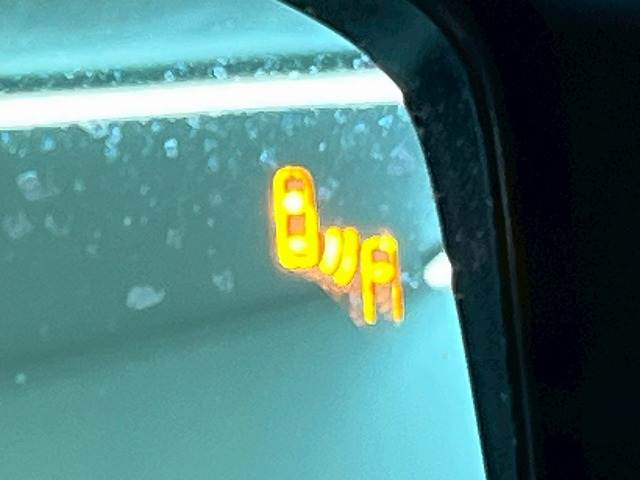 トヨタ&nbsp;ランドクルーザー250の画像7