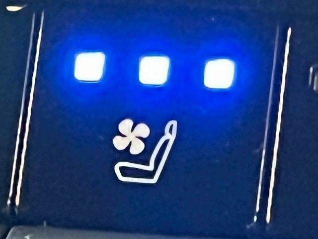 トヨタ&nbsp;ランドクルーザー250の画像13