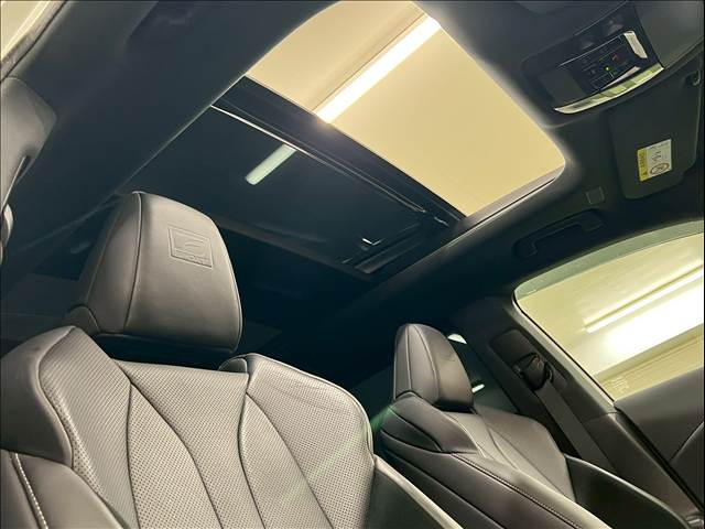 RXRX500h “F SPORT Performance” 内装他