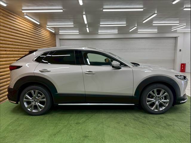 マツダ CX-30の画像18