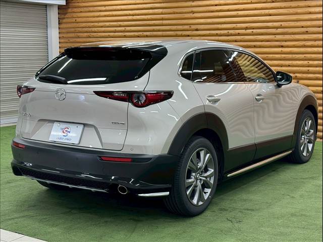 マツダ CX-30の画像19