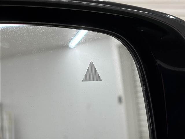 日産 エルグランドの画像9