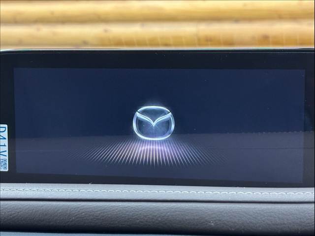 CX-3020S Proactive Touring Selection 内装他