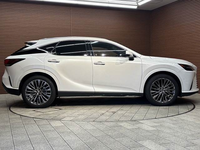 レクサス RXの画像18