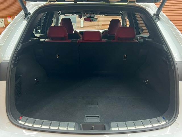 レクサス NXの画像20