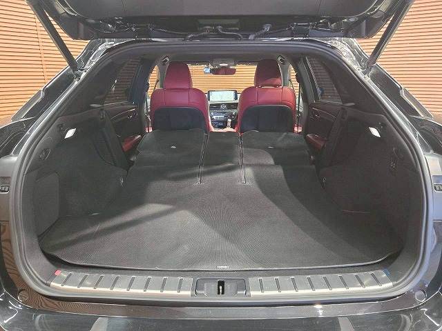 レクサス&nbsp;RXの画像20